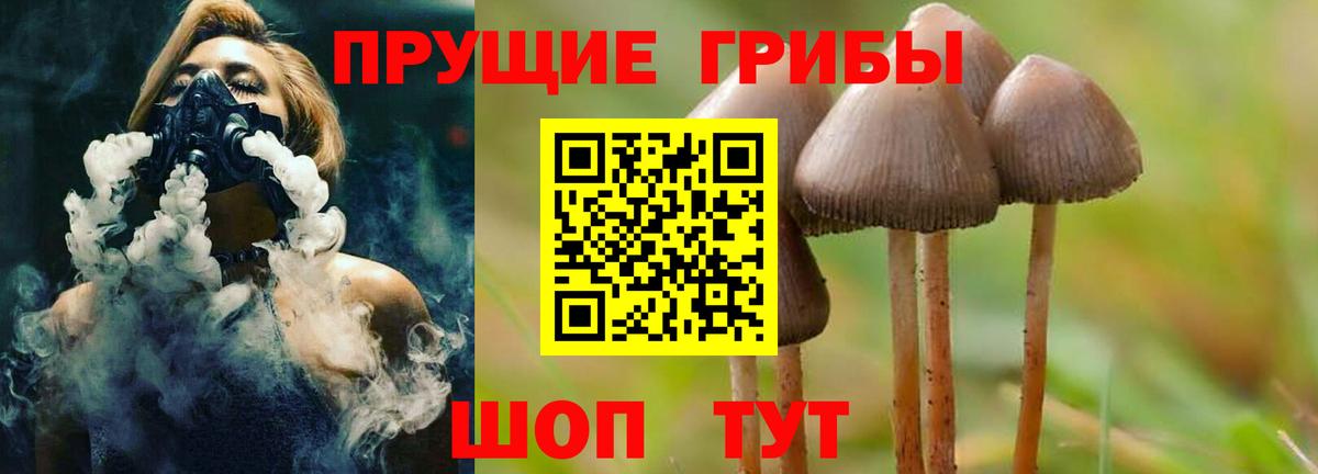 Щёлково  Псилоцибиновые грибы ЛСД  Вход с VPN 